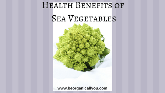 health benefits of 7 sea vegetables