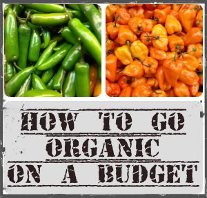 Organic on a Budget