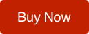 Buy it Now Logo